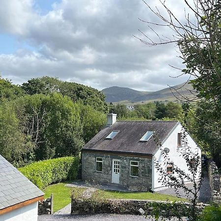 Bryn Rhedyn Cottage Cwm-y-glo 外观 照片