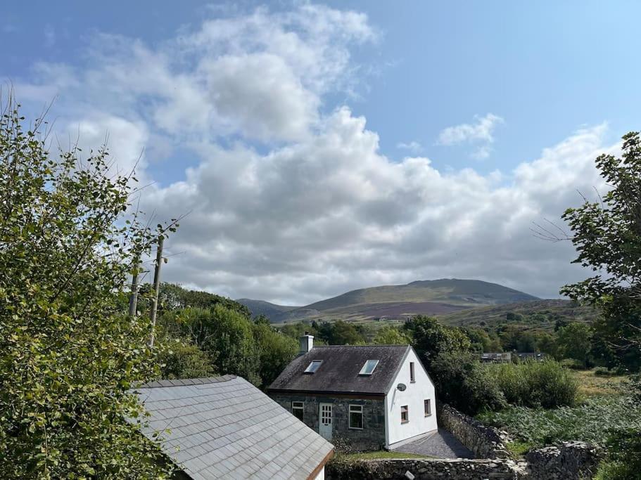 Bryn Rhedyn Cottage Cwm-y-glo 外观 照片