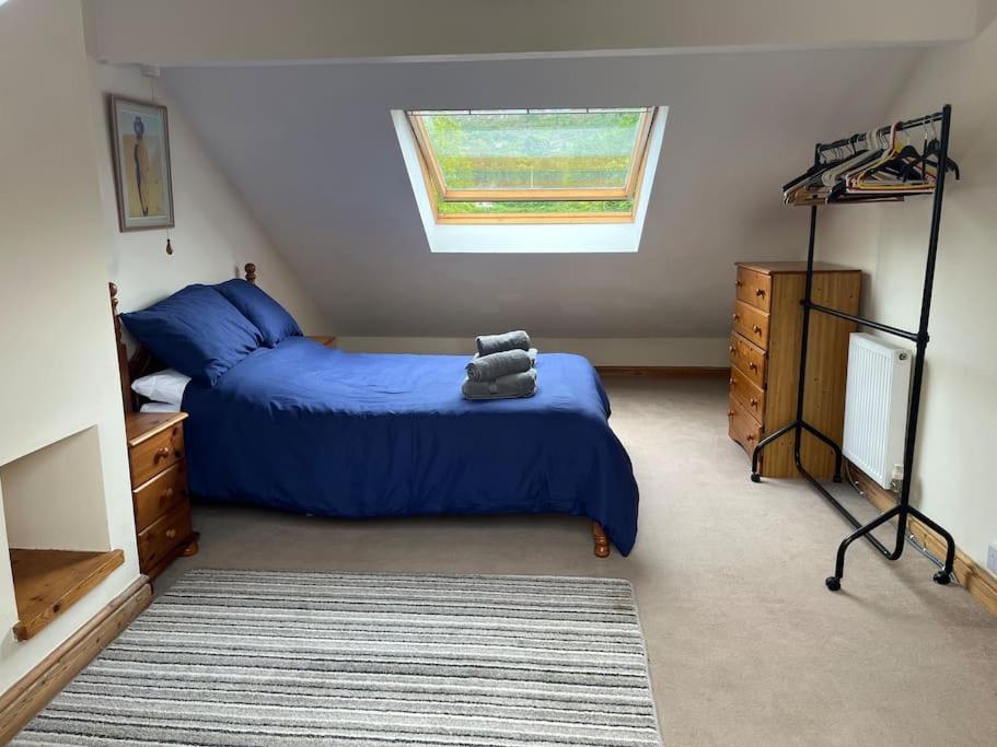 Bryn Rhedyn Cottage Cwm-y-glo 外观 照片