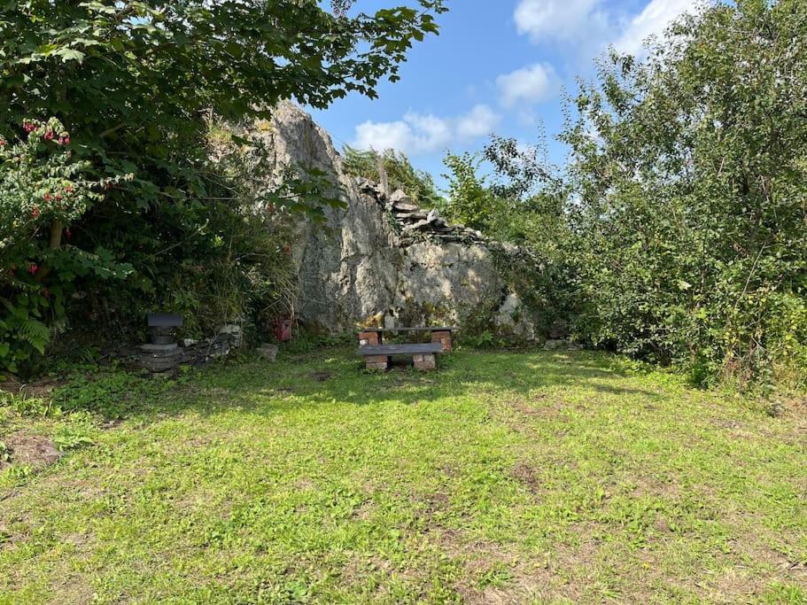 Bryn Rhedyn Cottage Cwm-y-glo 外观 照片